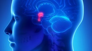 Read more about the article Pituitary gland tumor may experience the following symptoms or signs