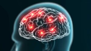 Read more about the article Tips to increase memory and the neurological factor behind that.