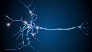 Read more about the article Multiple Sclerosis types, Symptom ,Cause and Risk Factor