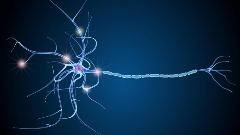 You are currently viewing Multiple Sclerosis types, Symptom ,Cause and Risk Factor